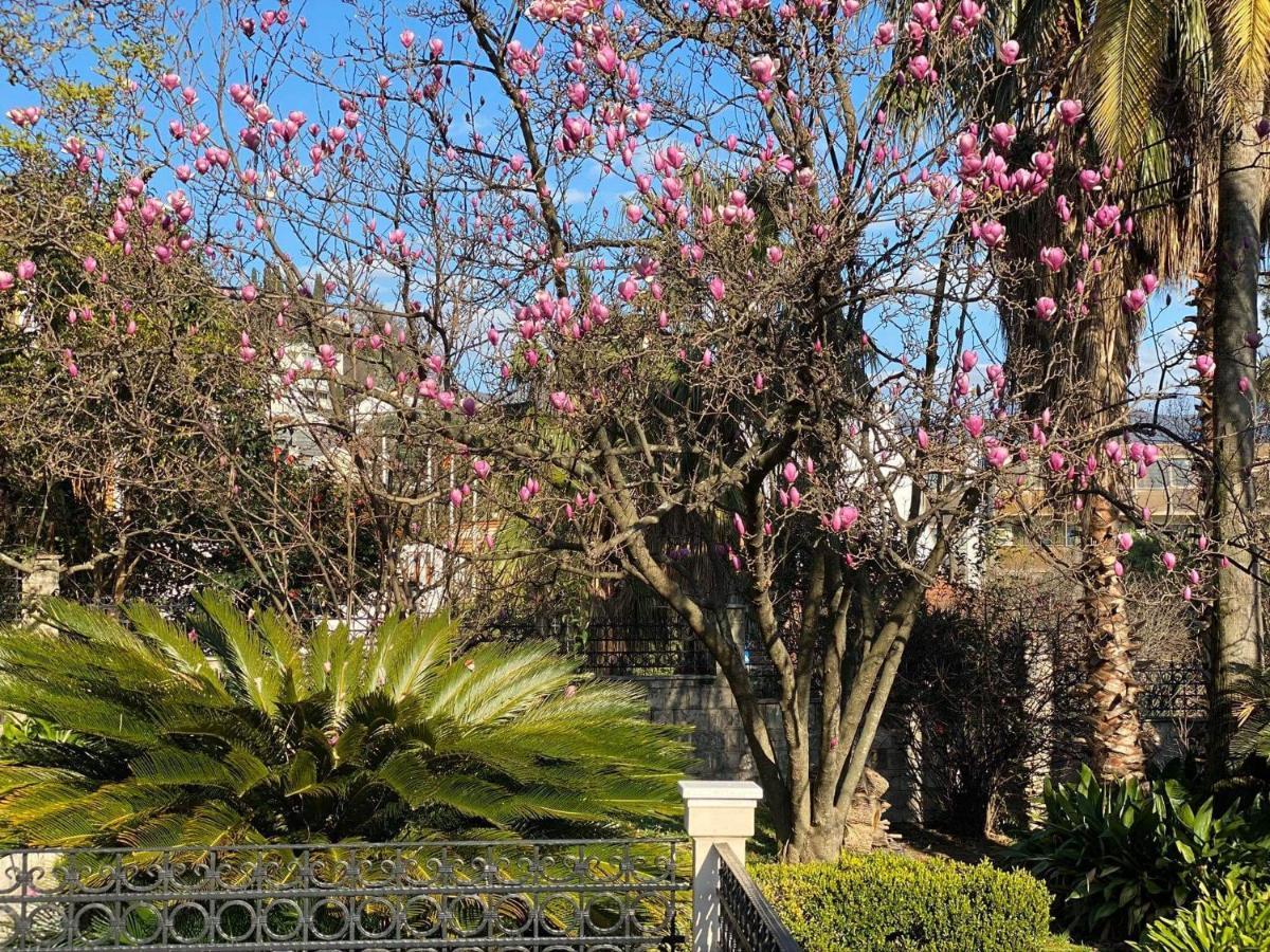 Villa Nautica Herceg Novi Eksteriør bilde